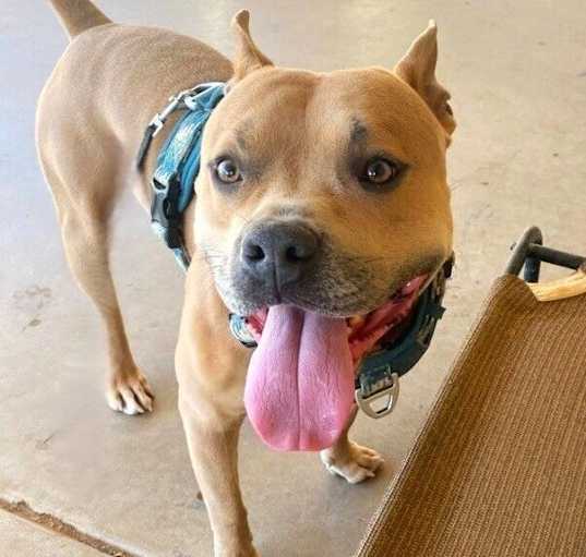 Photo of Blue