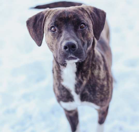 Photo of Ajax