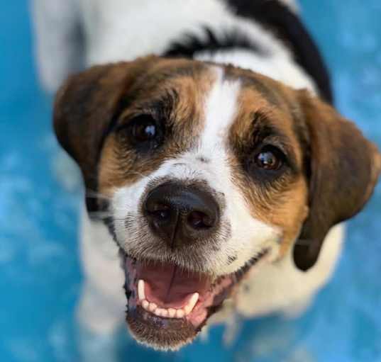 Photo of Maggie