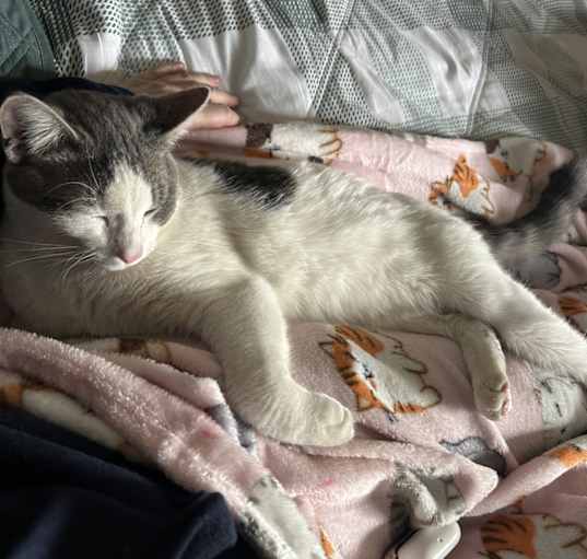 Photo of Gus