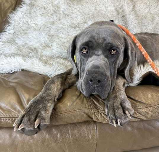 Photo of Molly