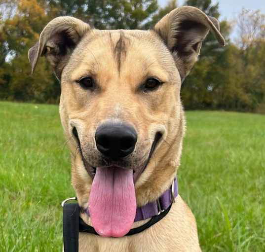 Photo of Finn