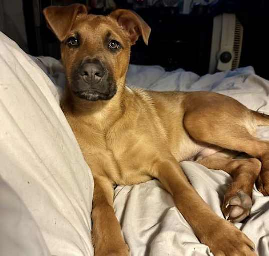 Photo of Max