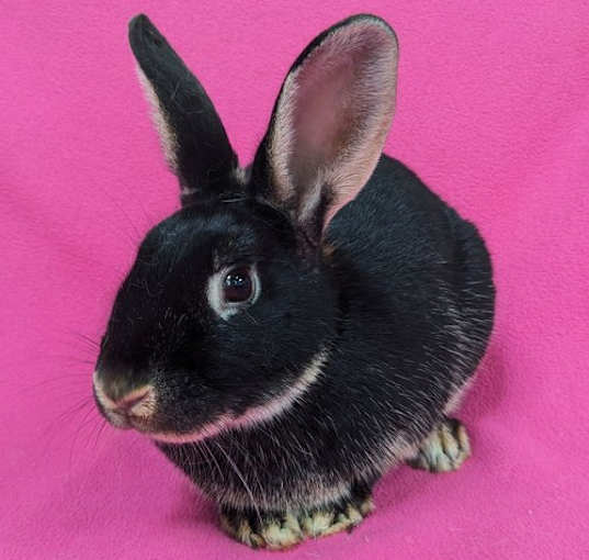 Photo of Ester