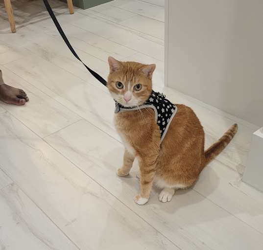 Photo of Jack