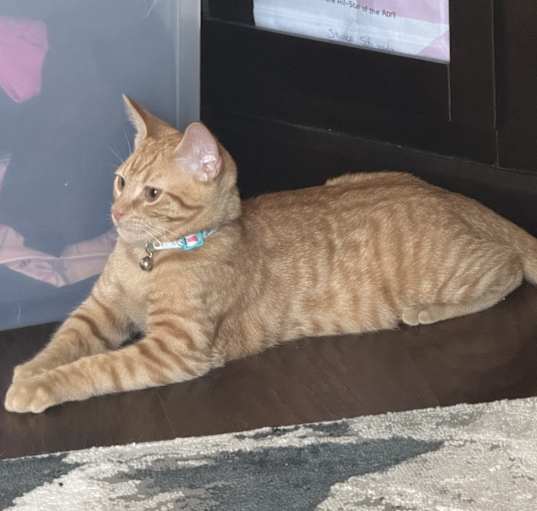 Photo of Mishy