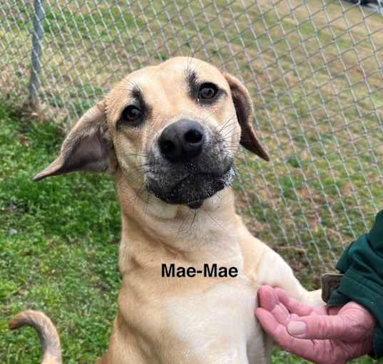 Photo of Mae-Mae