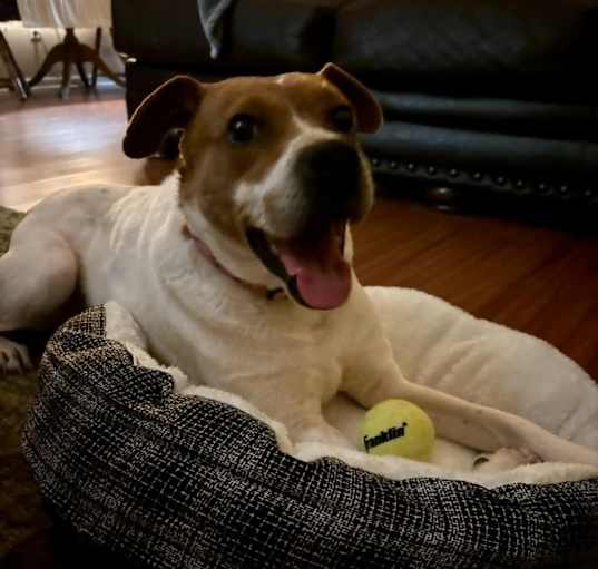 Photo of Lola