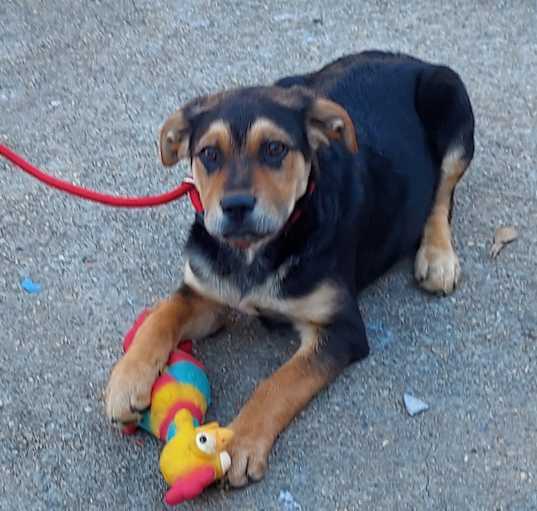 Photo of BEAU