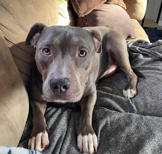 Photo of Sybil