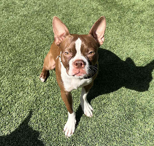 Photo of Rylee-Courtesy Post