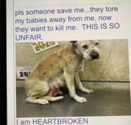 Photo of MAMA ANGEL