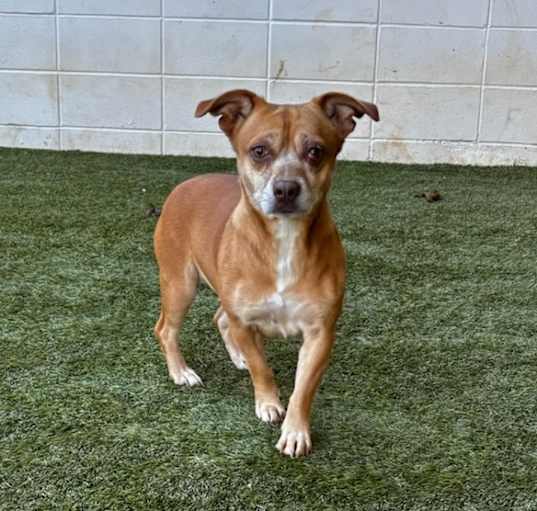 Photo of SADIE 8881