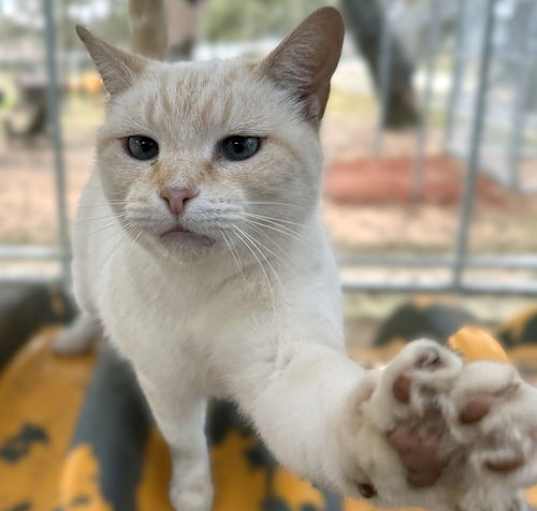 Photo of Flame
