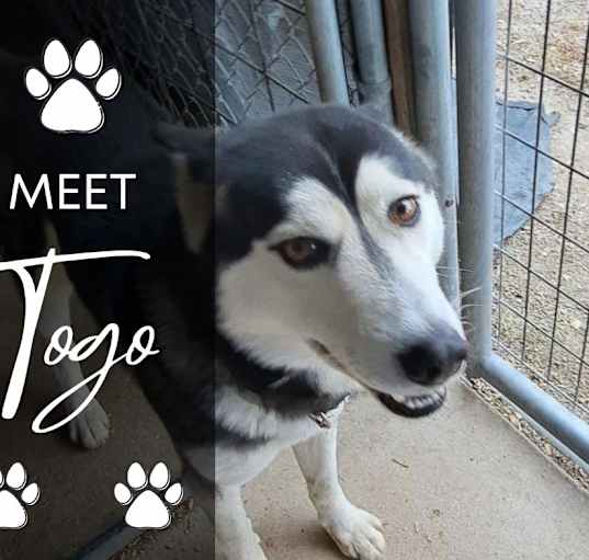 Photo of Togo