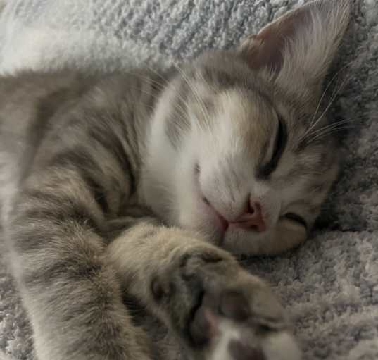 Photo of Chloe