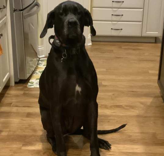Photo of Rory