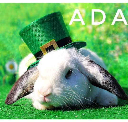 Photo of Adam