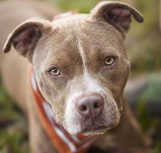 Photo of LEX