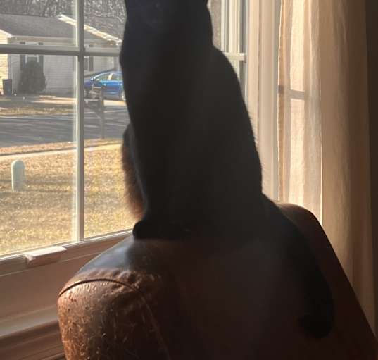 Photo of Leeloo
