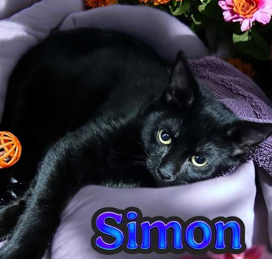 Photo of Simon