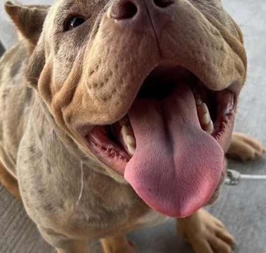 Photo of Jolene