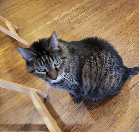 Photo of Sweetie