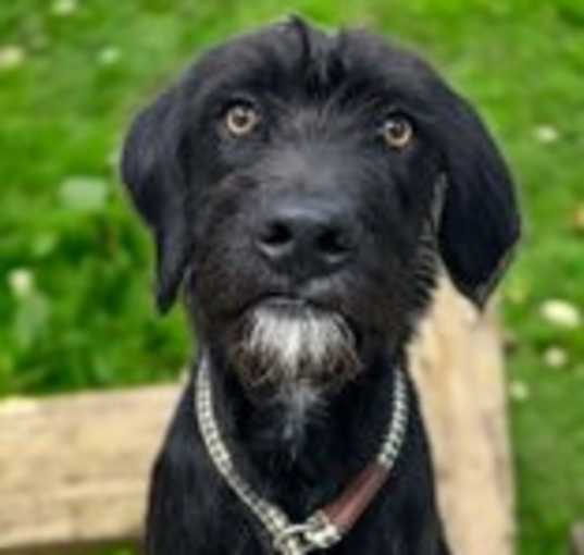 Photo of Zeus