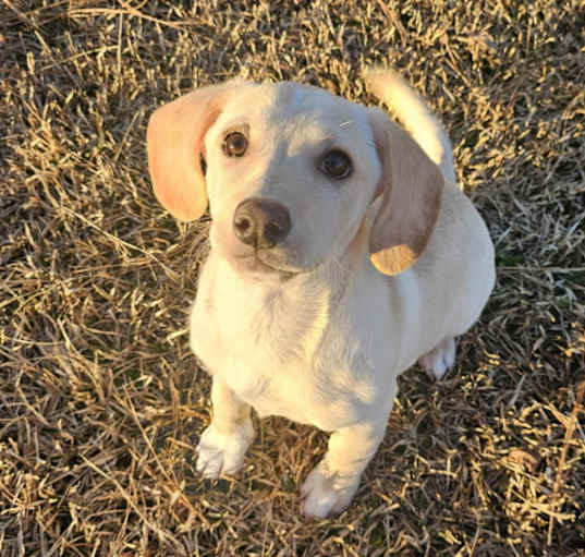 Photo of Sallie