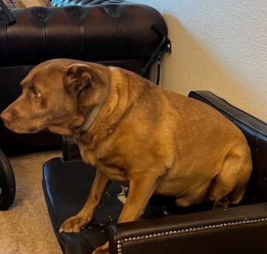 Photo of Zeus