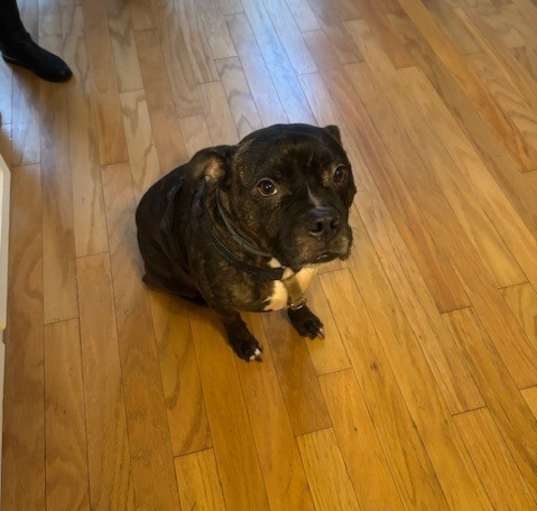 Photo of Jax