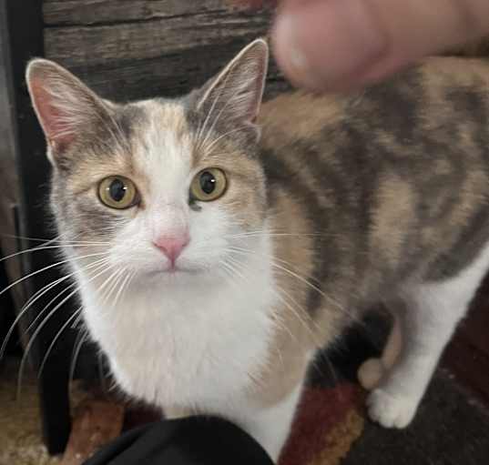 Photo of Ms. Agatha Crumplebottom
