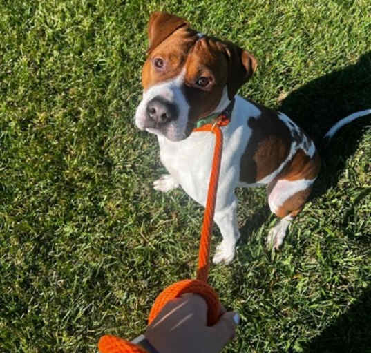 Photo of Jax
