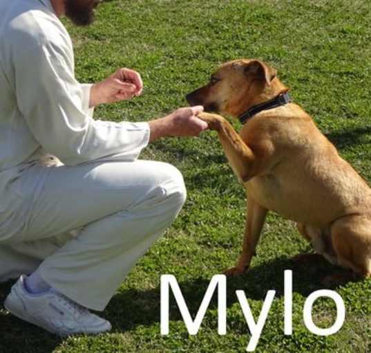 Photo of Mylo