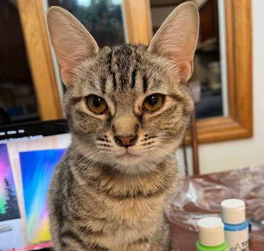 Photo of Arwin