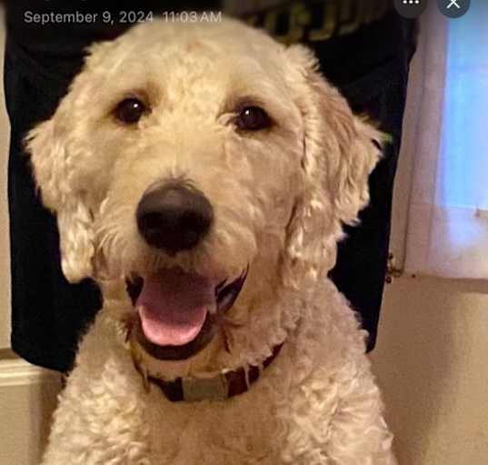Photo of Charlie
