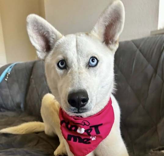 Photo of Sierra