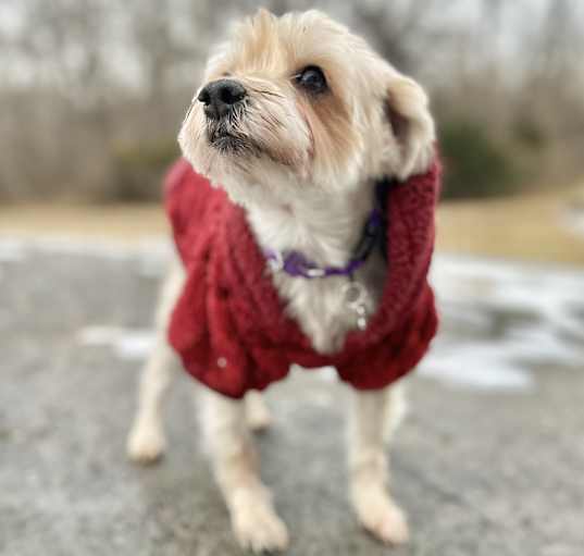 Photo of Halee
