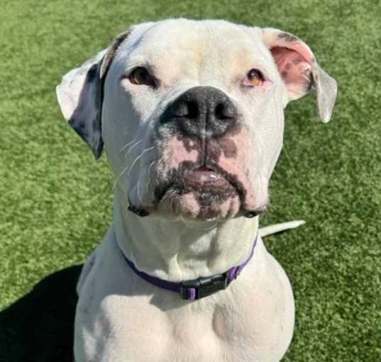 Photo of Olaf