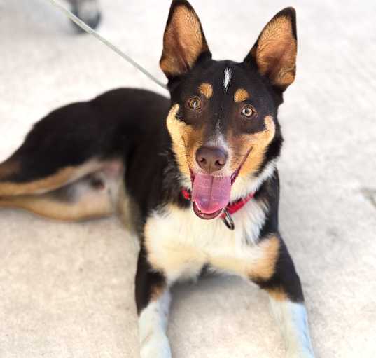 Photo of Max IV