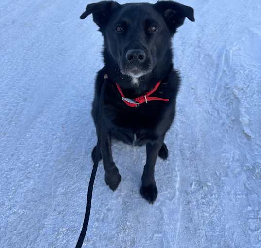 Photo of Missy