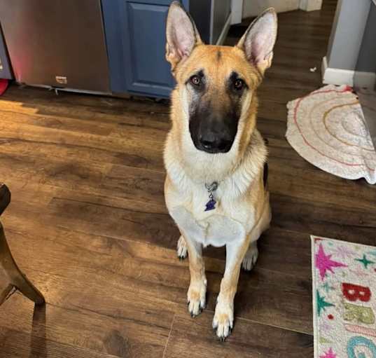 Photo of Trooper