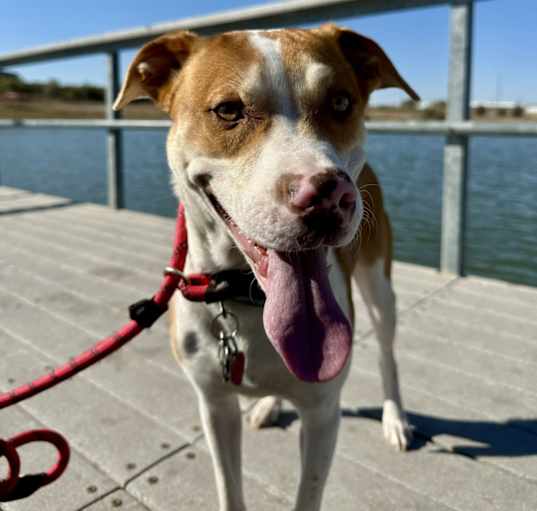 Photo of Maggie