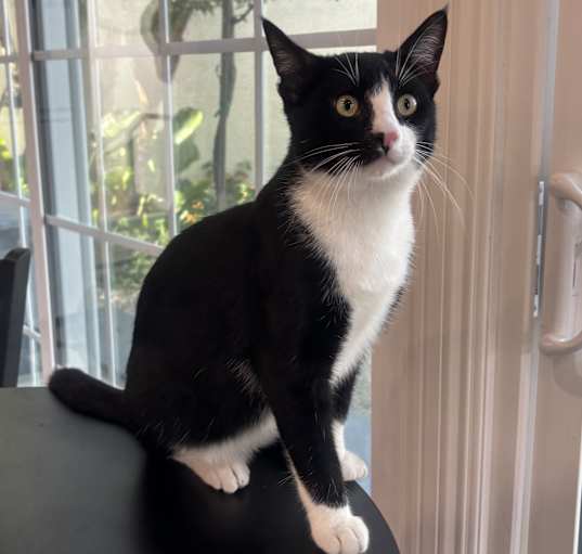 Photo of Charles
