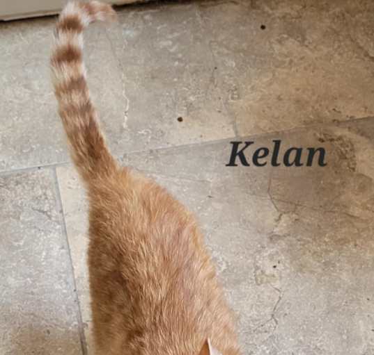 Photo of Kelan