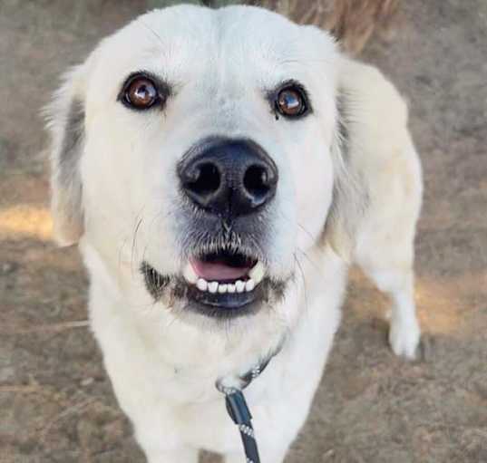Photo of ANGEL
