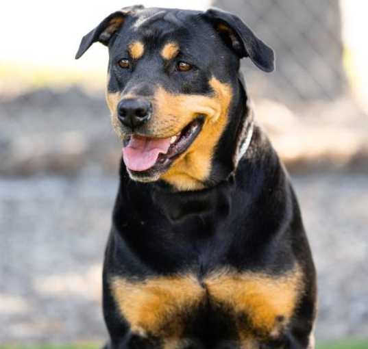 Photo of MIA