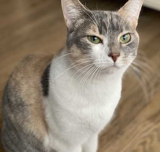 Photo of Millie