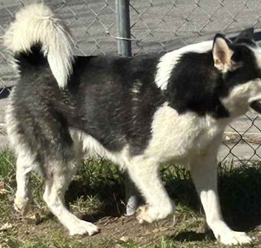 Photo of GIYU