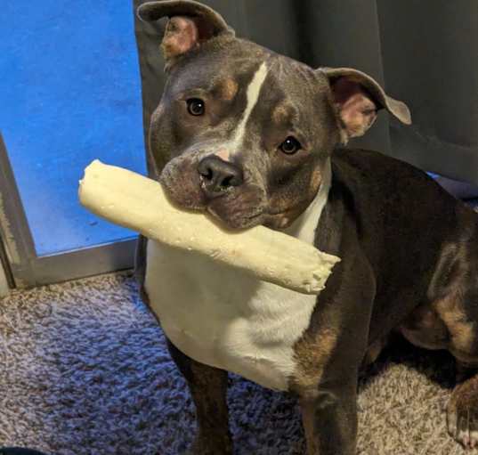 Photo of Clyde